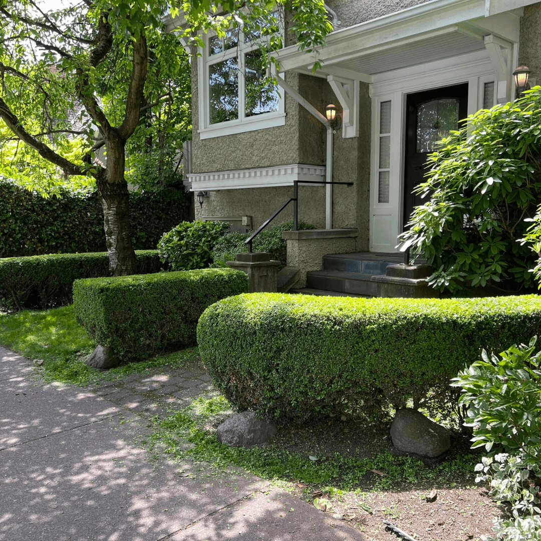 Maintained lawn and beds