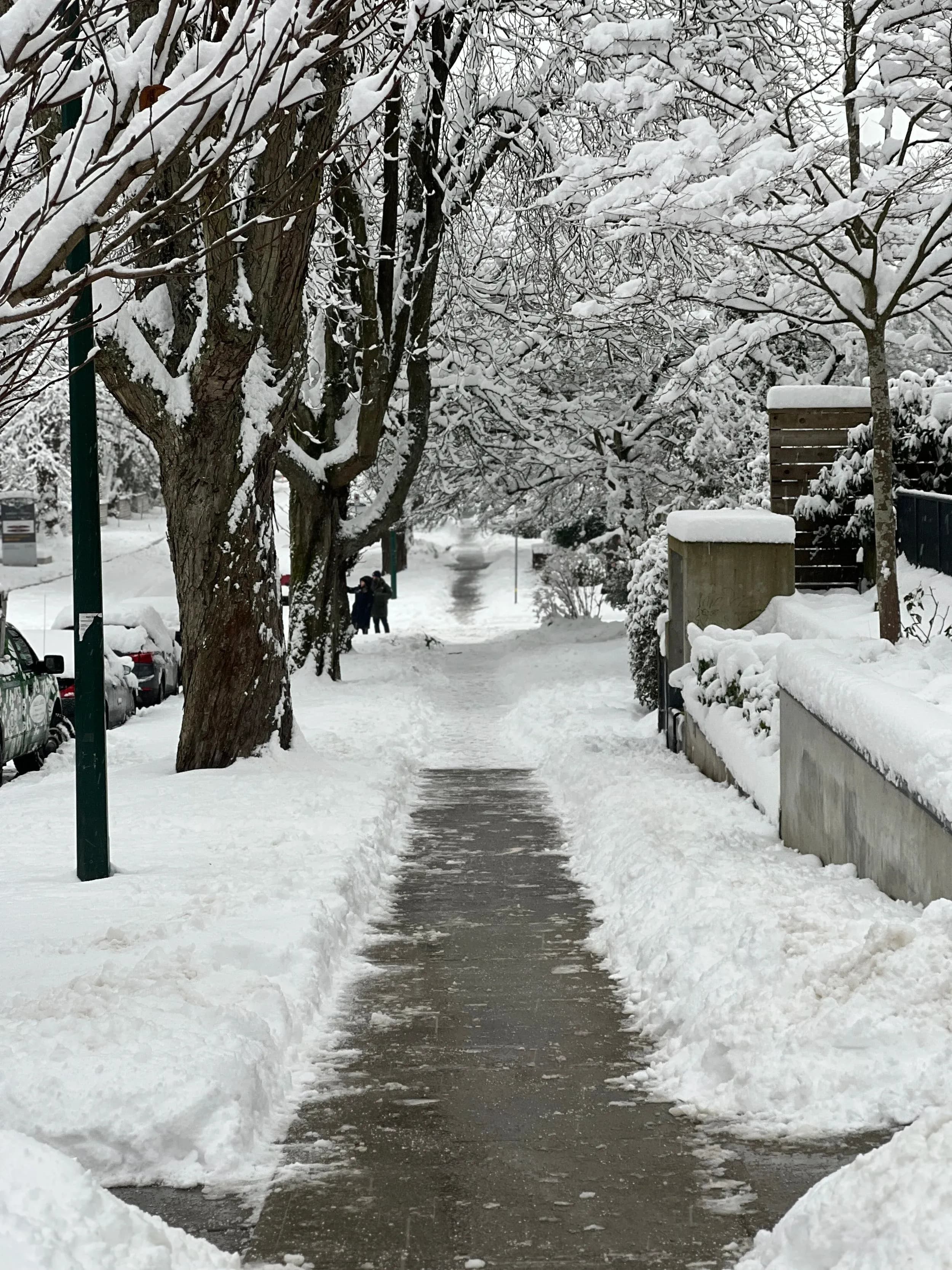 Winter Services Vancouver