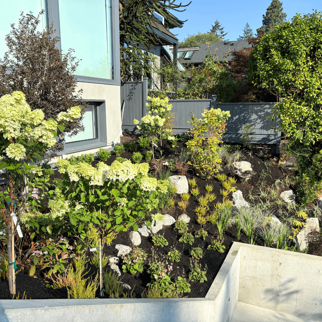 Designed outdoor space
