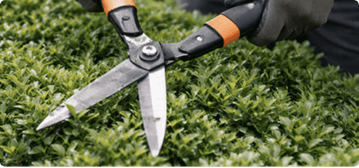 Landscape maintenance — hedge trimming